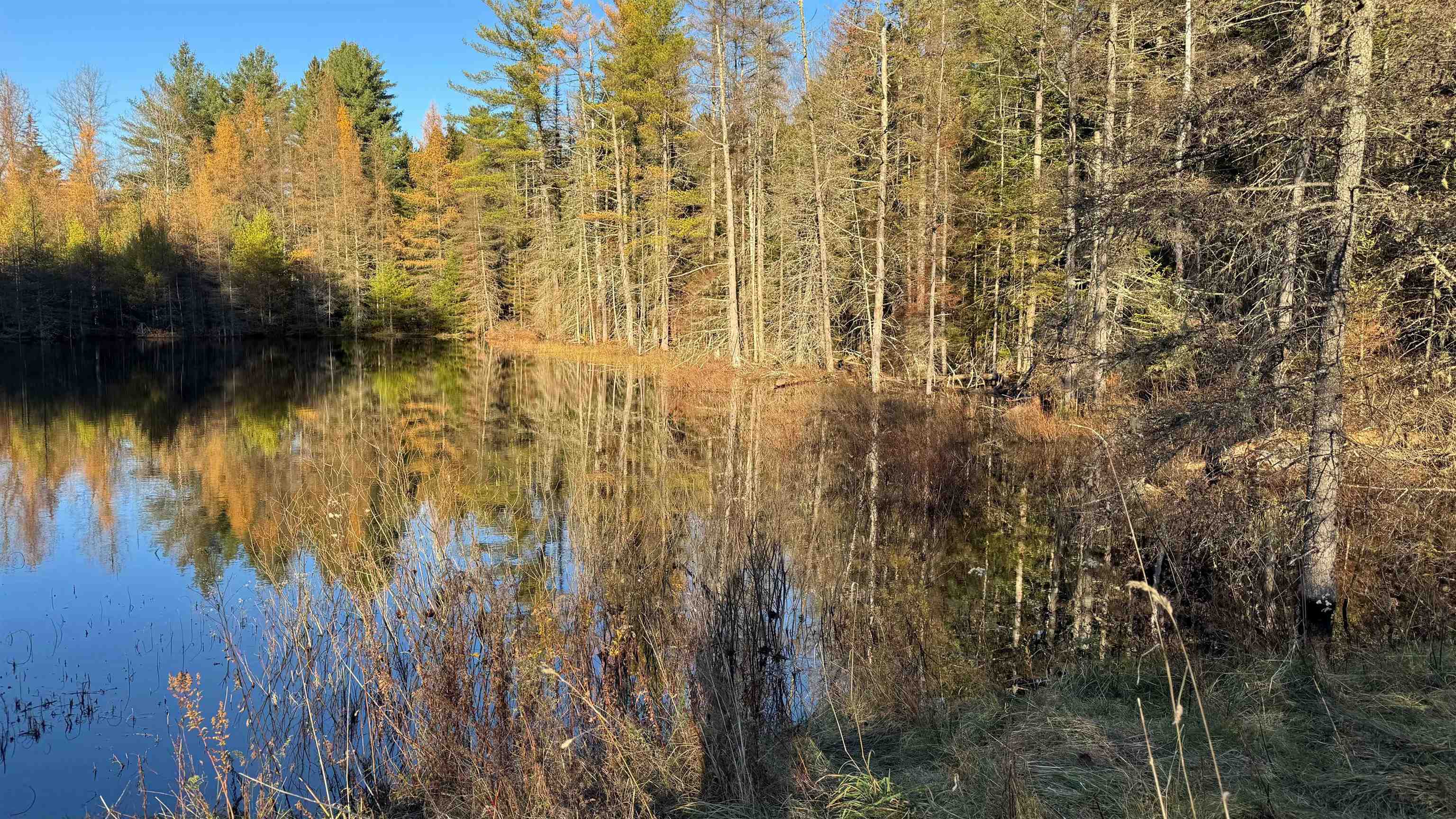 50 Cheney 4-Corner Road Newbury, VT 05040 - Photo 30 of 38