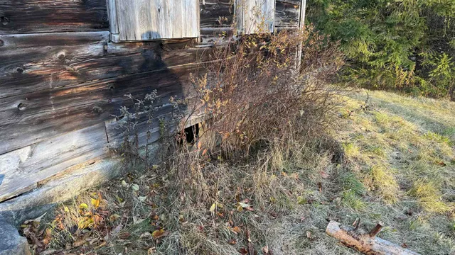 $229,900 | 50 Cheney 4-Corner Road, Newbury, VT 05040