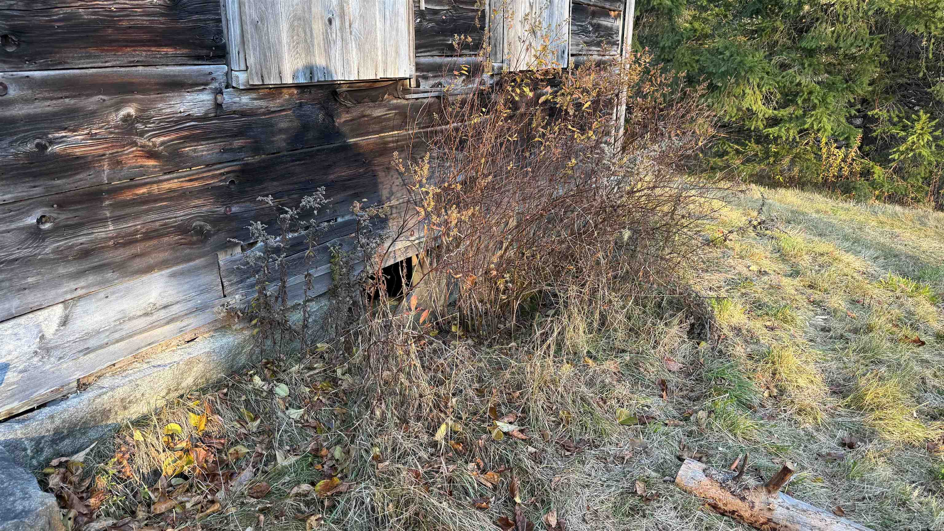 50 Cheney 4-Corner Road Newbury, VT 05040 - Photo 34 of 38