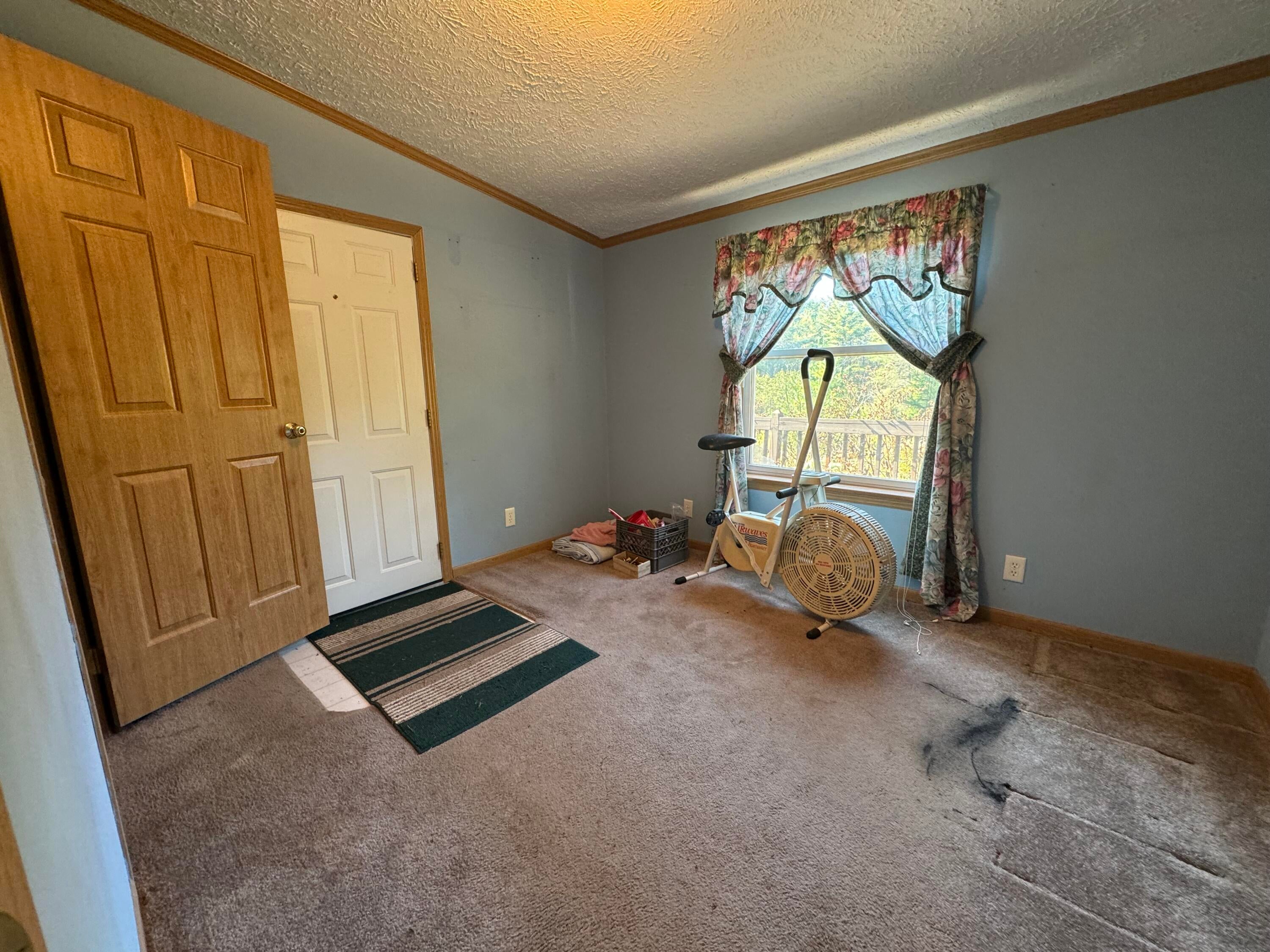 12480 South Balsam Road Dafter, MI 49724 - Photo 16 of 45 Gallery Image 16