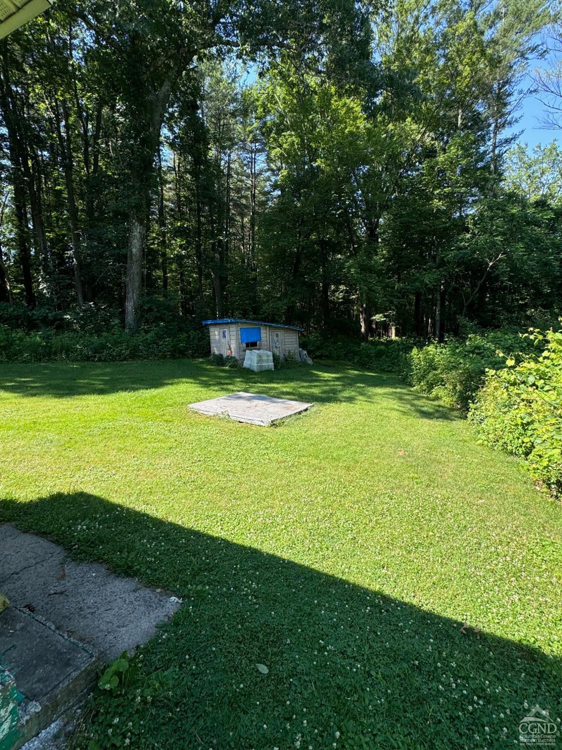 41 Dalton Road Cairo, NY 12413 - Photo 11 of 12 a view of a backyard with swimming pool