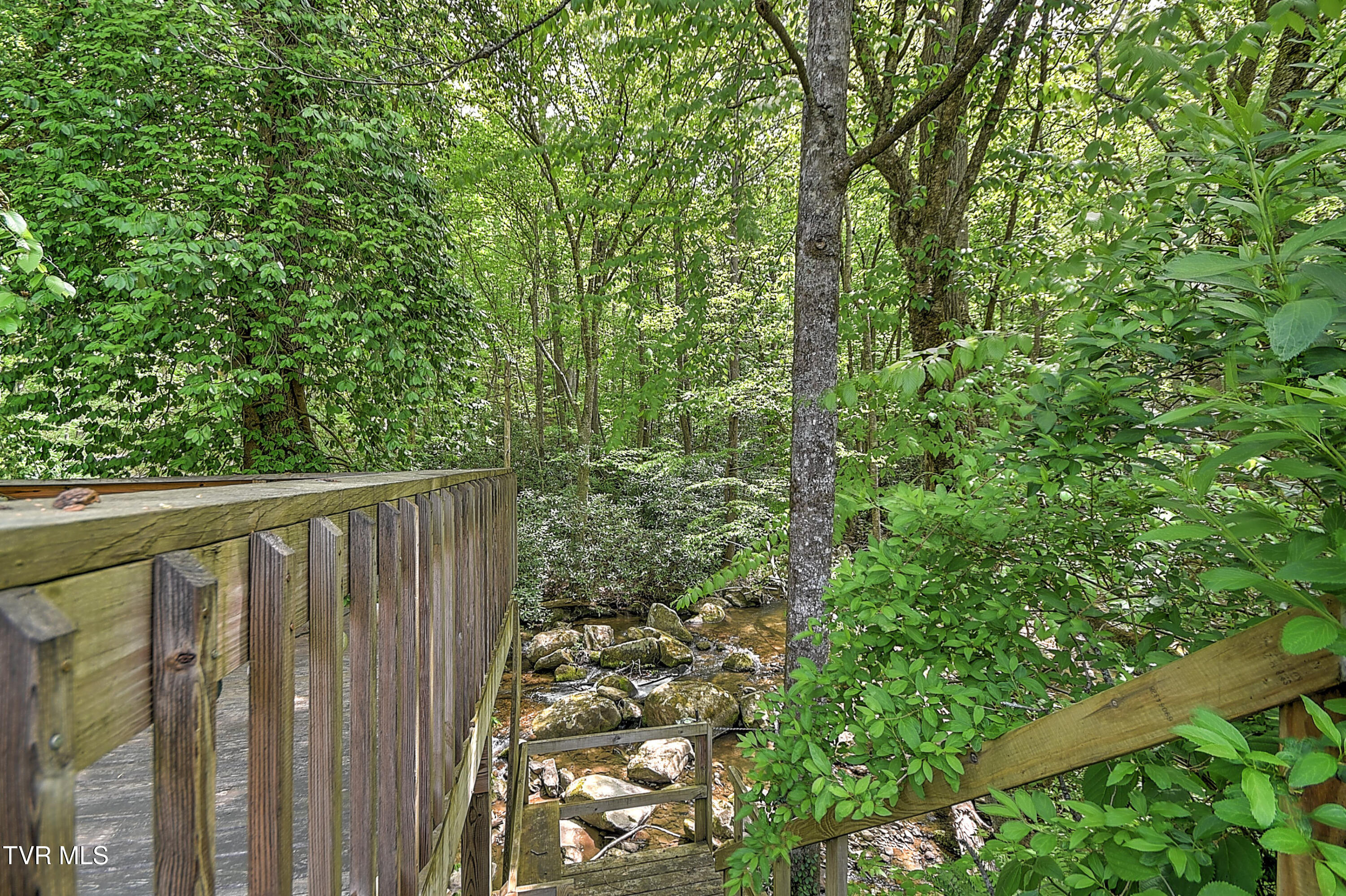 275 Tiger Creek Road Roan Mountain, TN 37687 - Photo 43 of 104 275 Tiger Creek EH-37