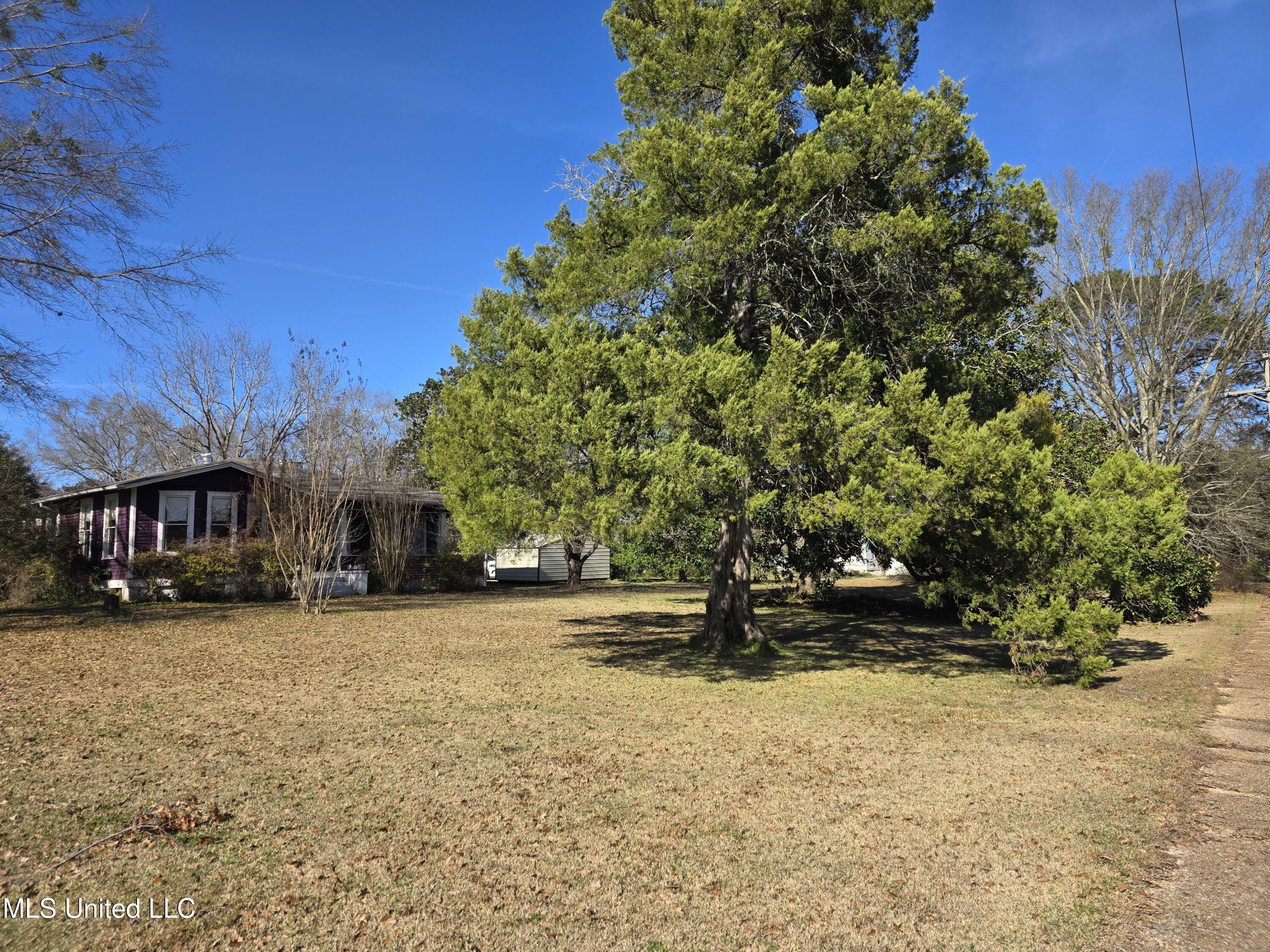 1079 Beech Street Wesson, MS 39191 - Photo 8 of 36 23854