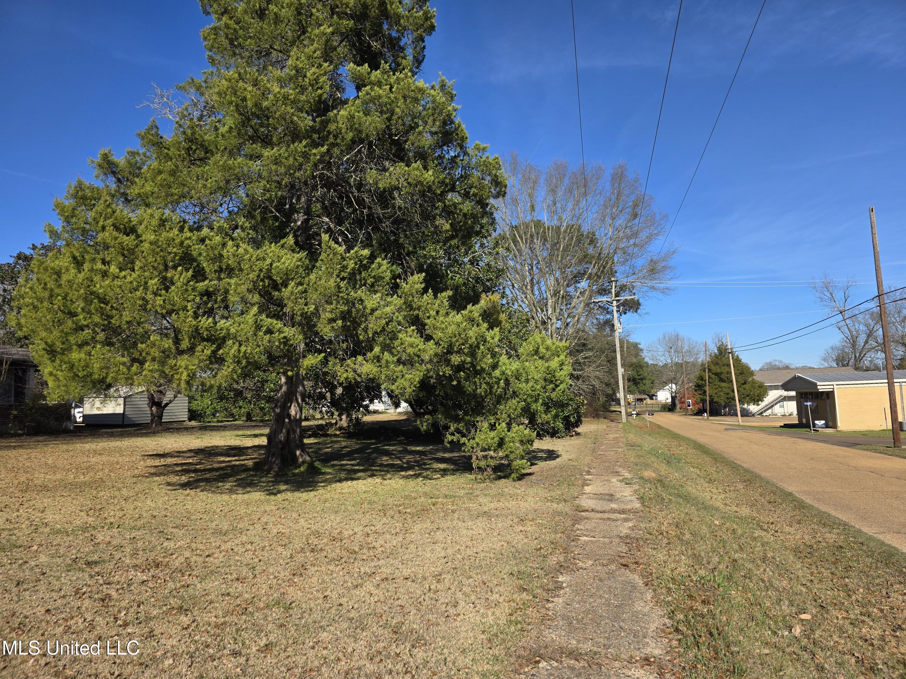 1079 Beech Street Wesson, MS 39191 - Photo 9 of 36 23855