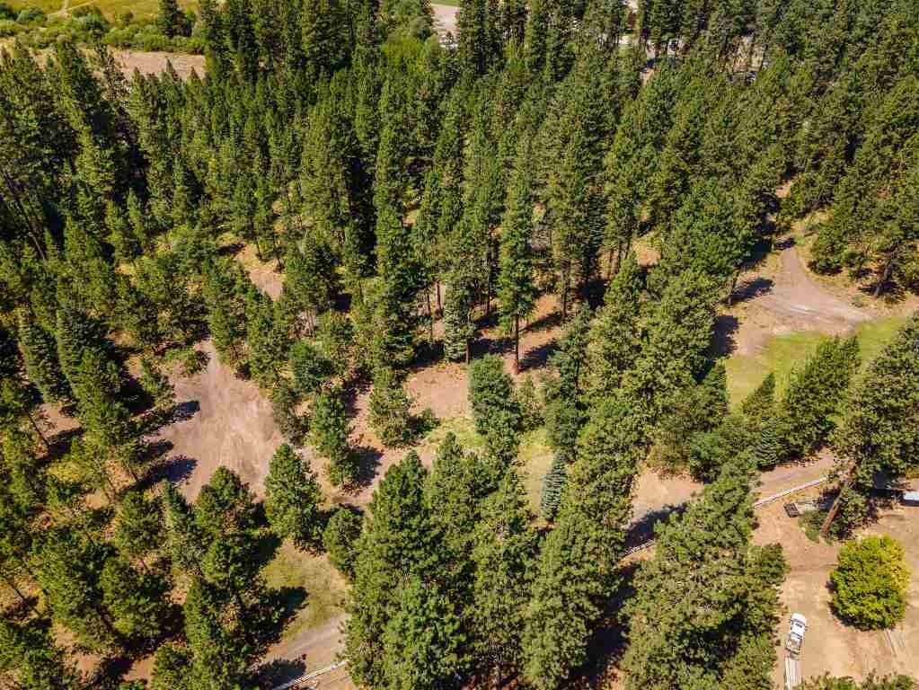 Lot B Red Cloud Ranch Road McCloud, CA 96057 - Photo 10 of 18 Gallery Image 10