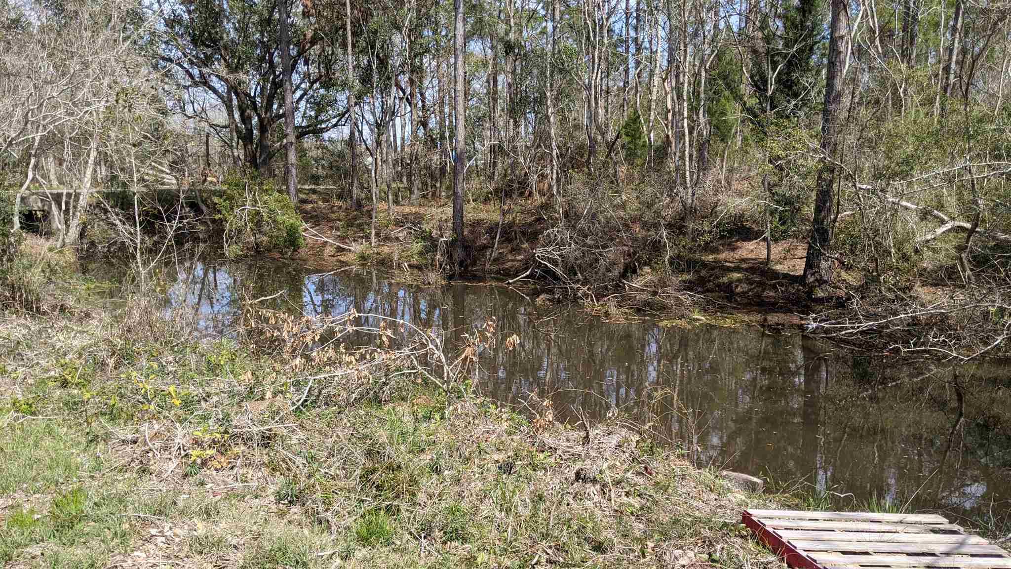 20512 Brinks Willis Road Foley, AL 36535 - Photo 4 of 34
