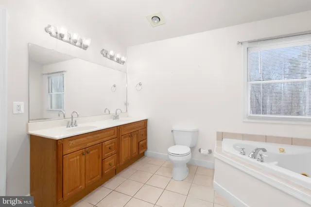 a bathroom with a toilet a sink a mirror a bathtub and vanity