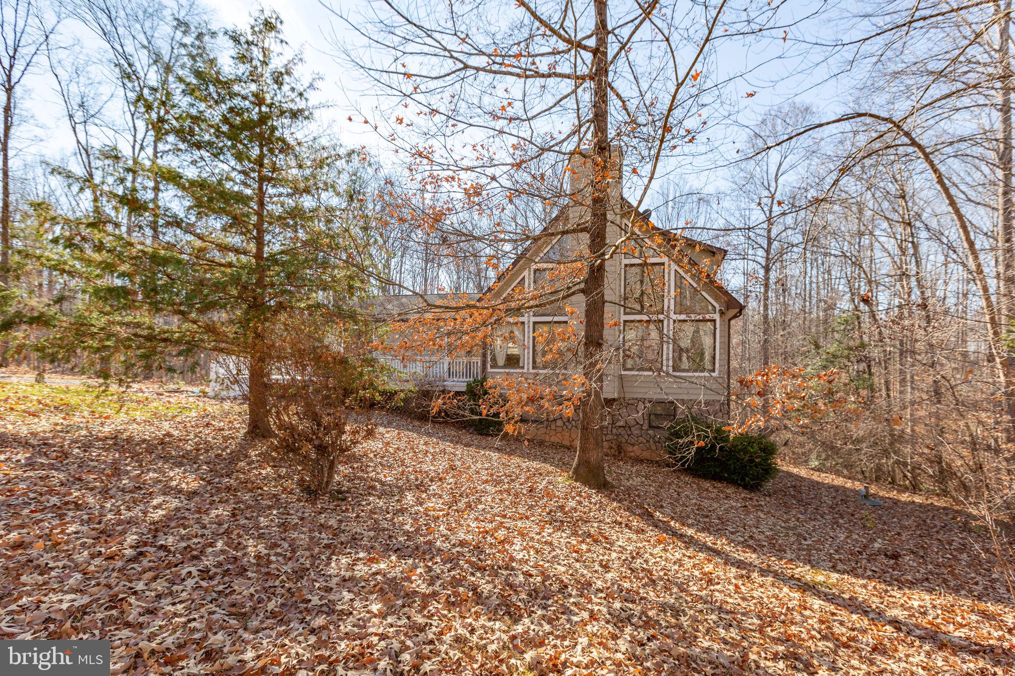 7312 Sugar Hollow Road Orange, VA 22960 - Photo 47 of 47 a backyard of a house with large trees