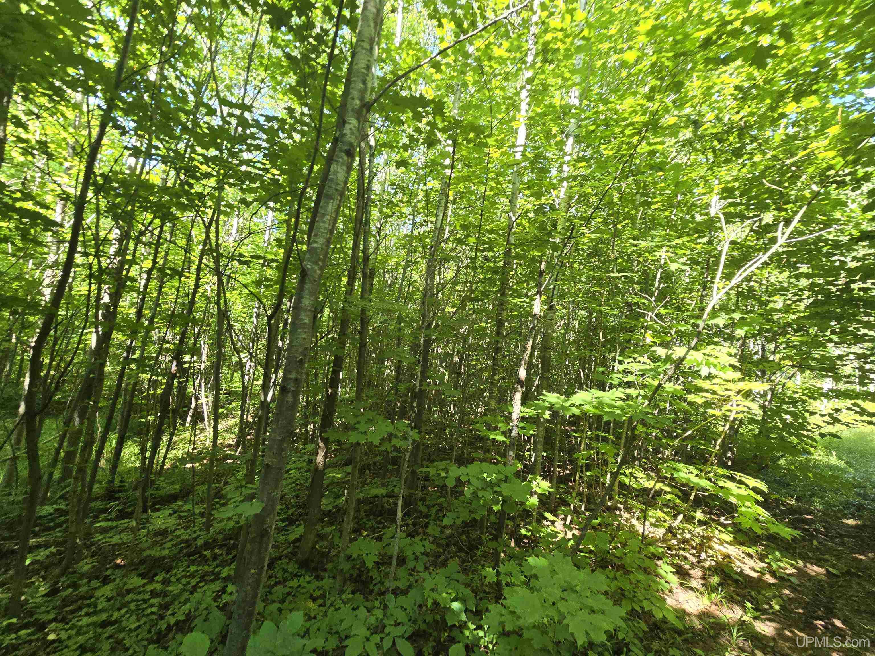 35348 Calumet Road Ontonagon, MI 49953 - Photo 59 of 88