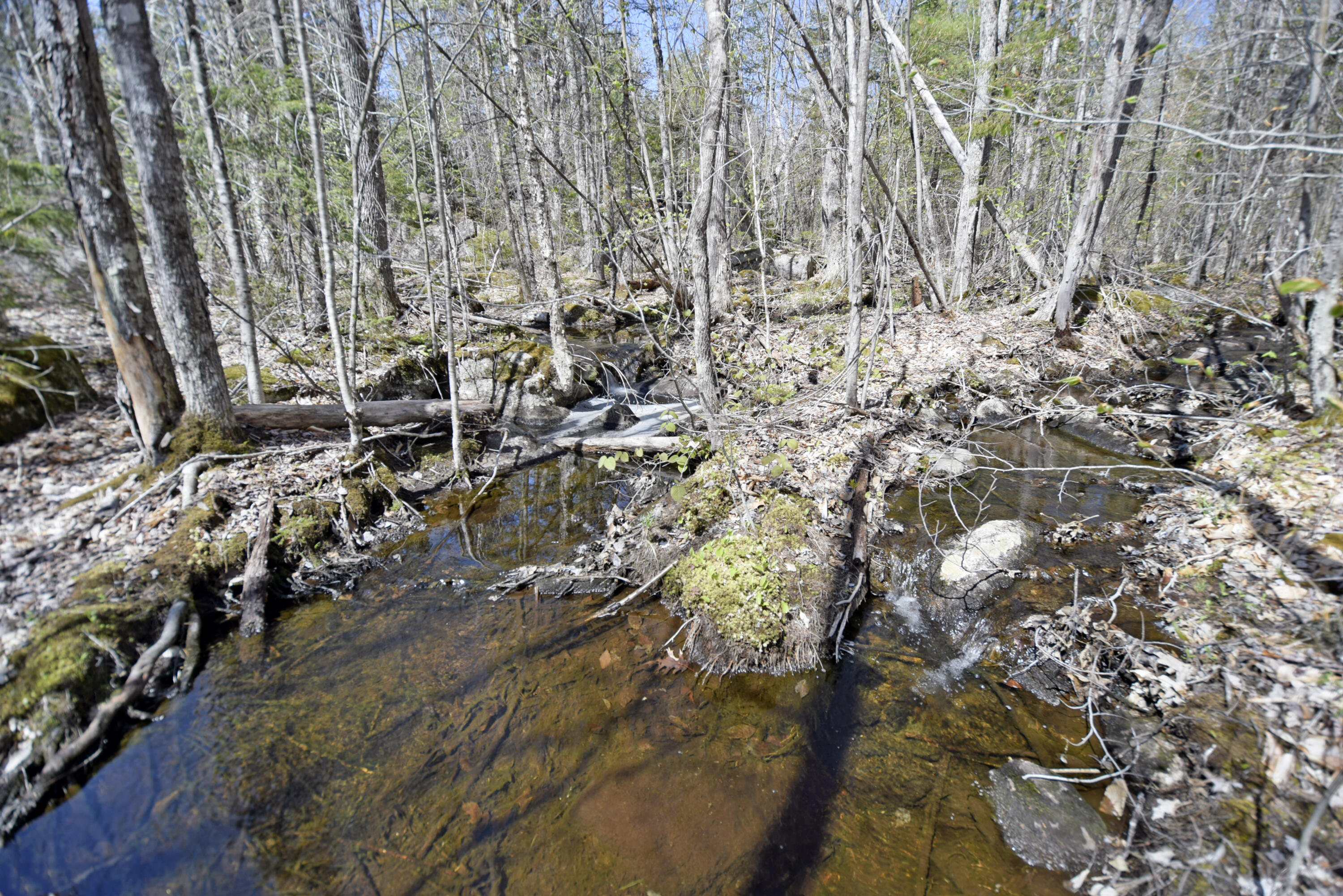 429 Winkumpaugh Road Ellsworth, ME 04605 - Photo 17 of 31 stream 5
