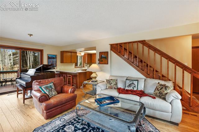 2096 Cedar Mountain Road Divide, CO 80814 - Photo 11 of 42 Gallery Image 11
