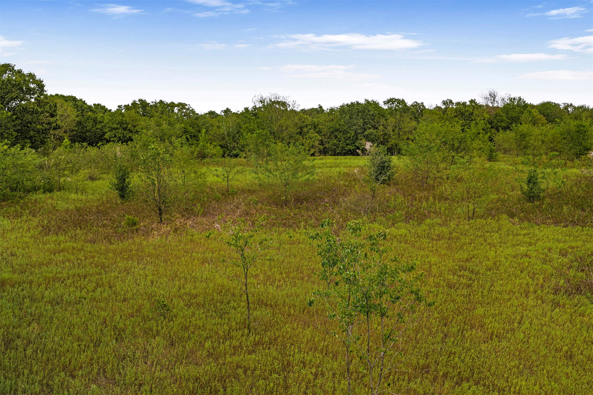 King Road Claremore, OK 74019 - Photo 8 of 45 Expansive grassy terrain with varied foliage and a distant tree line