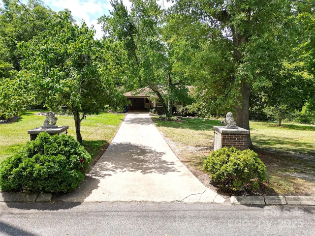 a view of a park with plants