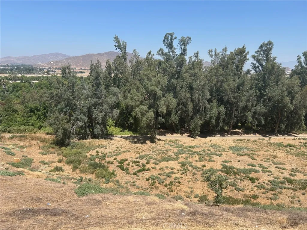 0 Indian Hill Road Riverside, CA 92501 - Photo 4 of 6 a view of a yard