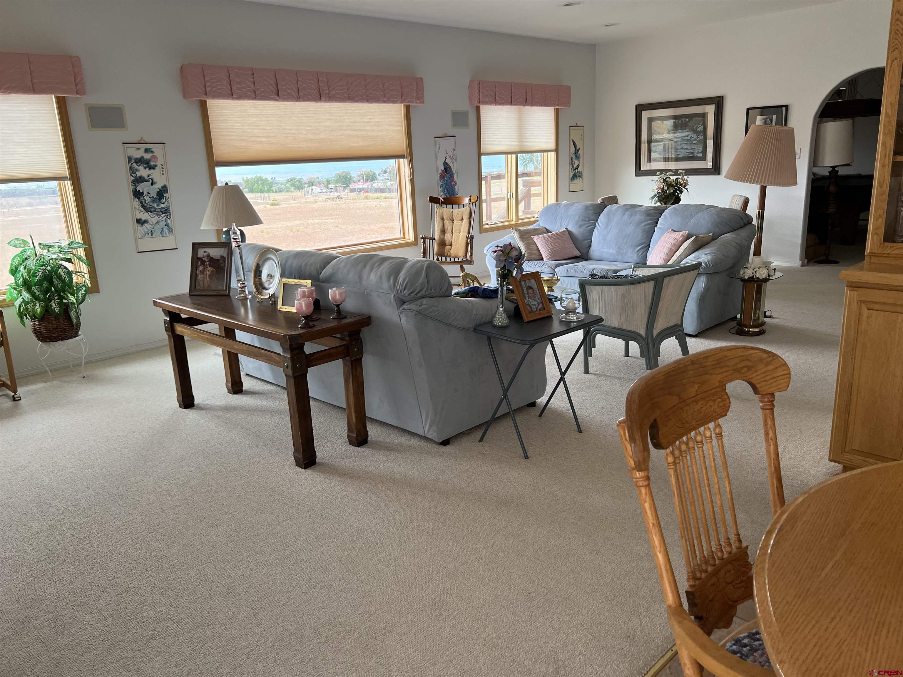 26096 Paintbrush Road Cedaredge, CO 81413 - Photo 10 of 29 a living room with furniture a flat screen tv and a large window
