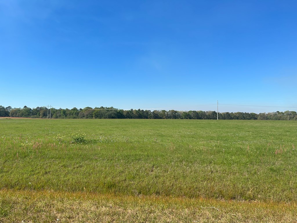 54.28-ac Webb Road Dothan, AL 36301 - Photo 41 of 57