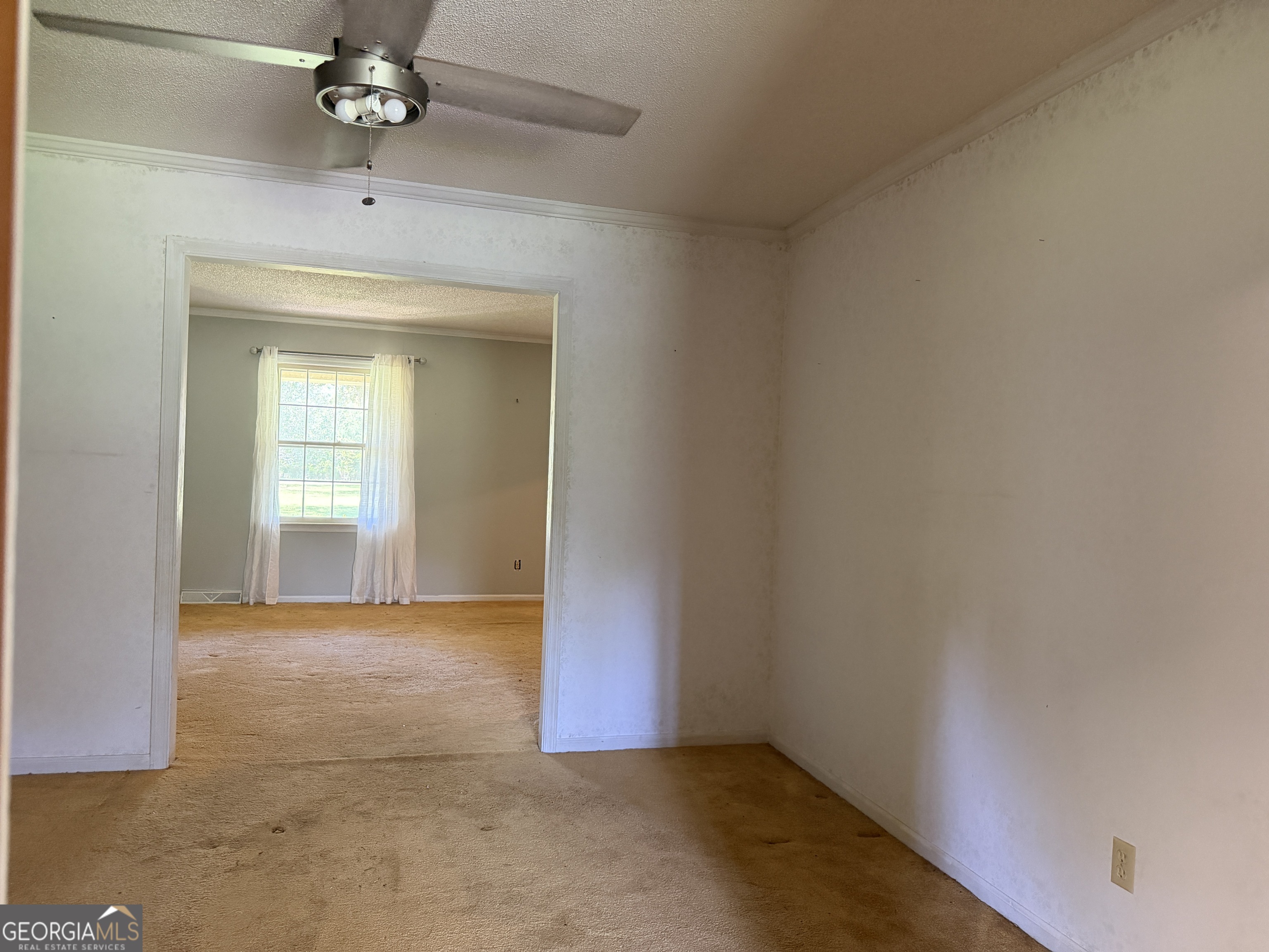 257 Lonnie Burke Road Portal, GA 30450 - Photo 11 of 20