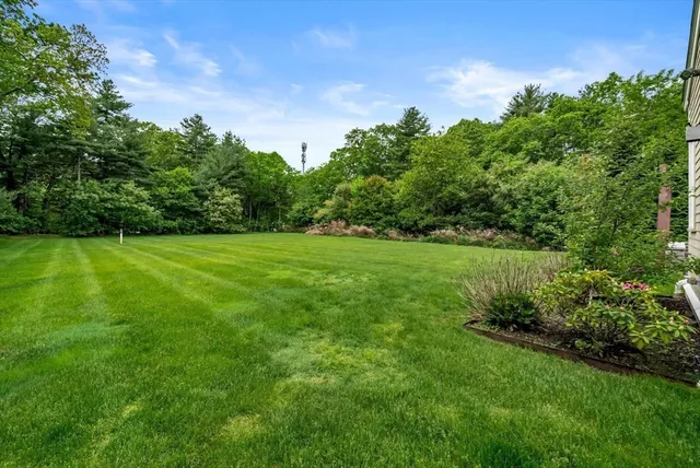 a view of a grassy field with trees