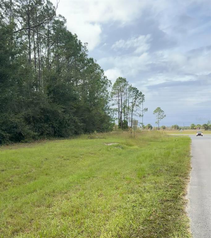 Lake Smith Road Umatilla, FL 32784 - Photo 6 of 8