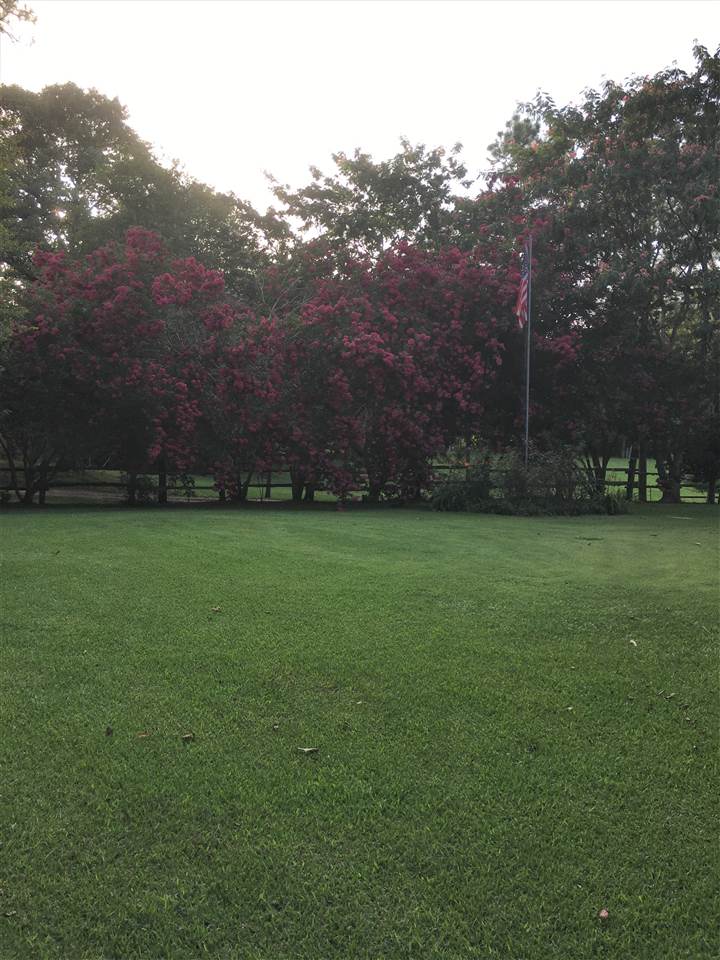 20 Butler Lane Collins, MS 39428 - Photo 12 of 25