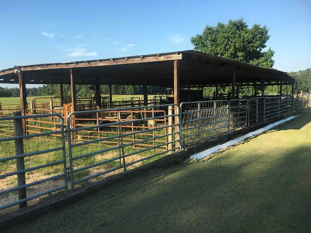 $699,000 | 20 Butler Lane, Collins, MS 39428