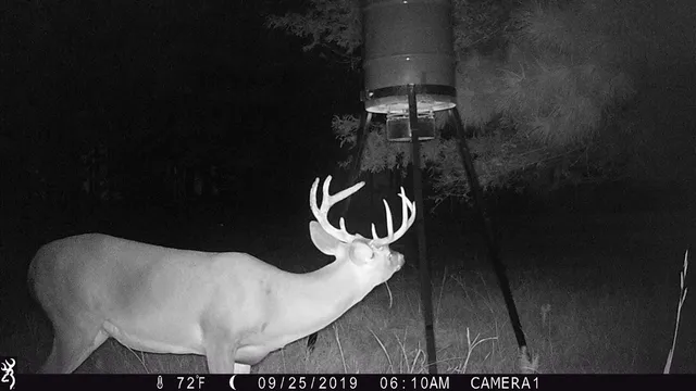 $699,000 | 20 Butler Lane, Collins, MS 39428