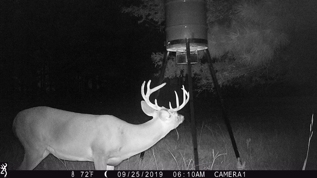 20 Butler Lane Collins, MS 39428 - Photo 23 of 25