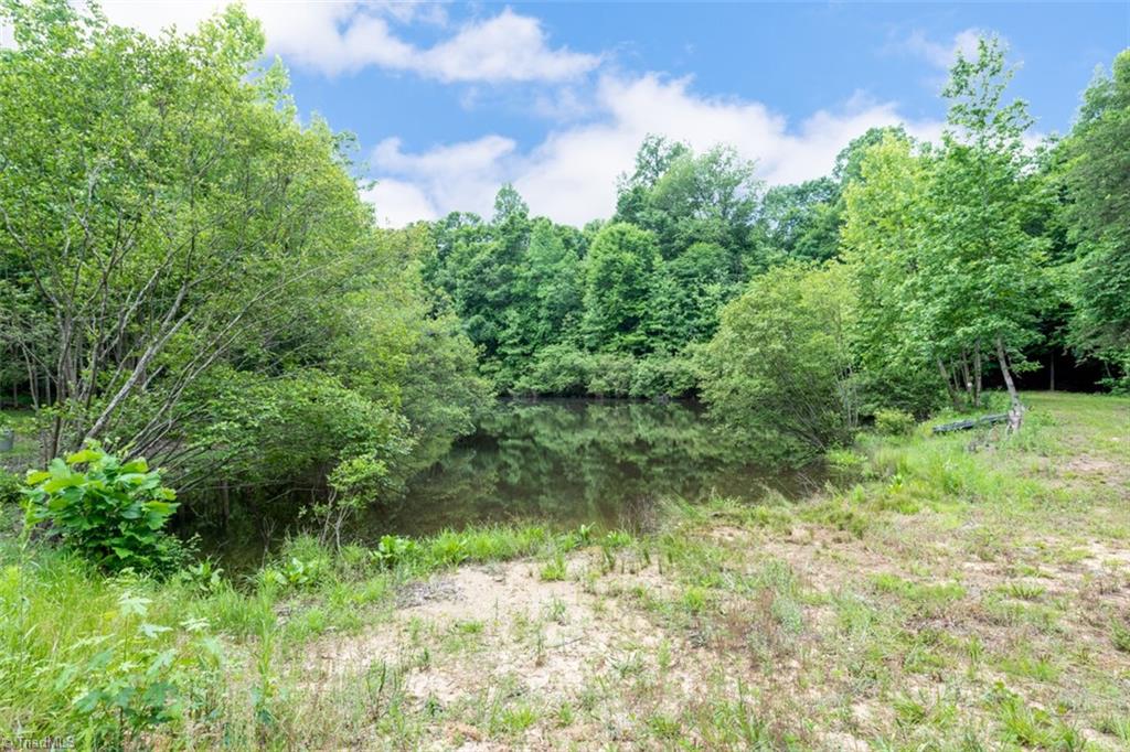 376 Knowles Road Reidsville, NC 27320 - Photo 18 of 25 Gallery Image 18