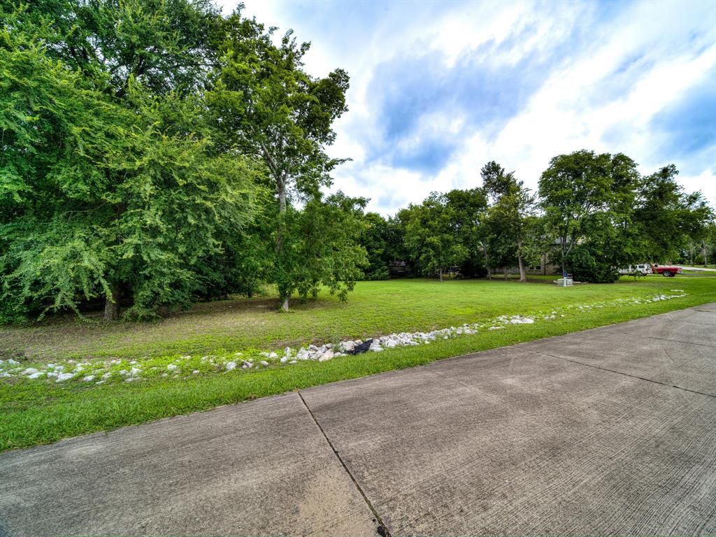 Tbd Lake Ridge Lane McKinney, TX 75071 - Photo 25 of 27 a view of a garden with a large tree