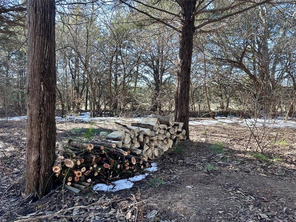 Tbd Lake Ridge Lane McKinney, TX 75071 - Photo 5 of 27 a view of a field with trees