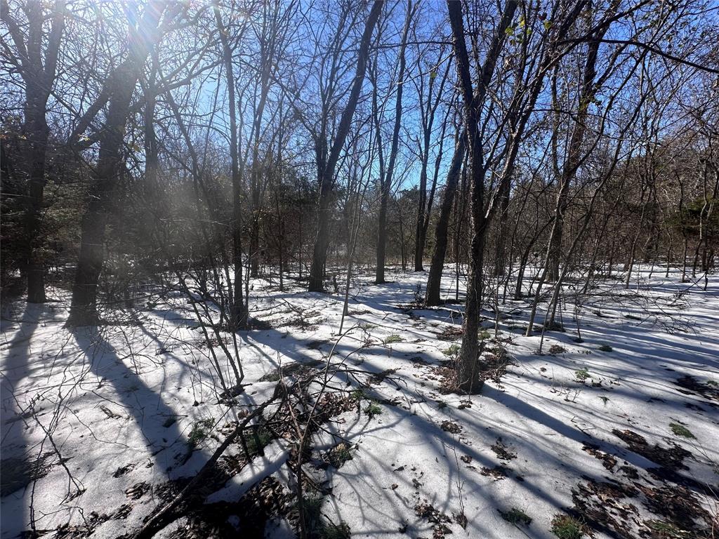 Tbd Lake Ridge Lane McKinney, TX 75071 - Photo 7 of 27 a view of outdoor space with trees