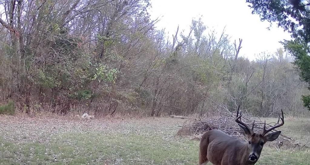 Tbd Lake Ridge Lane McKinney, TX 75071 - Photo 9 of 27 a view of an outdoor space