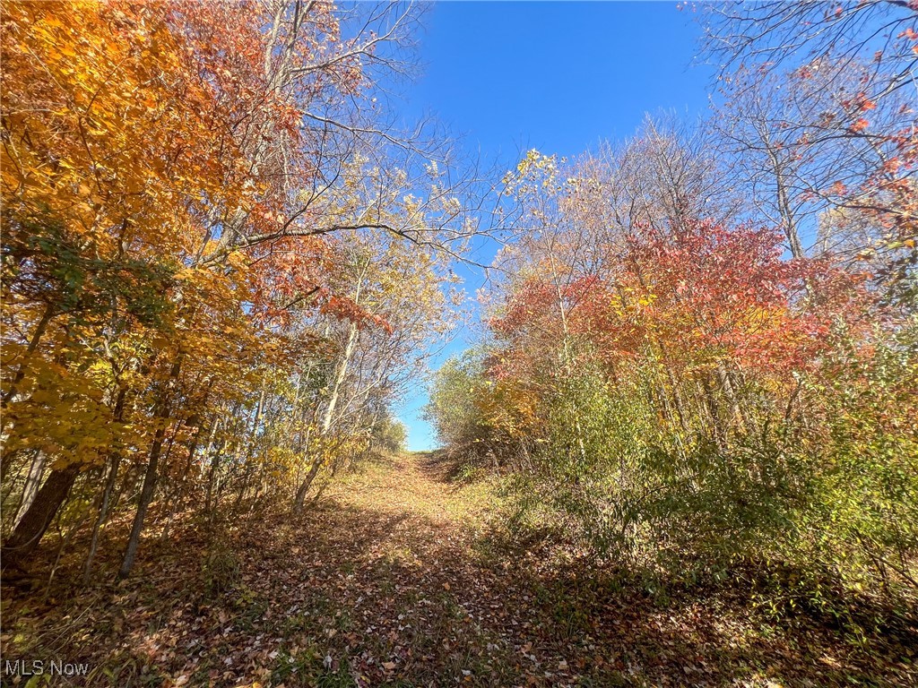 0 Roberts Road Amesville, OH 45711 - Photo 24 of 39 View of nature