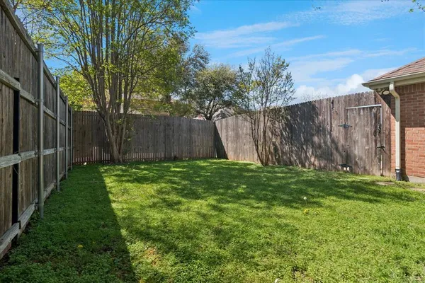 a view of a backyard with large trees and plants