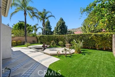 19565 Turtle Springs Way Porter Ranch, CA 91326 - Photo 76 of 96 Back yard with Palm Trees