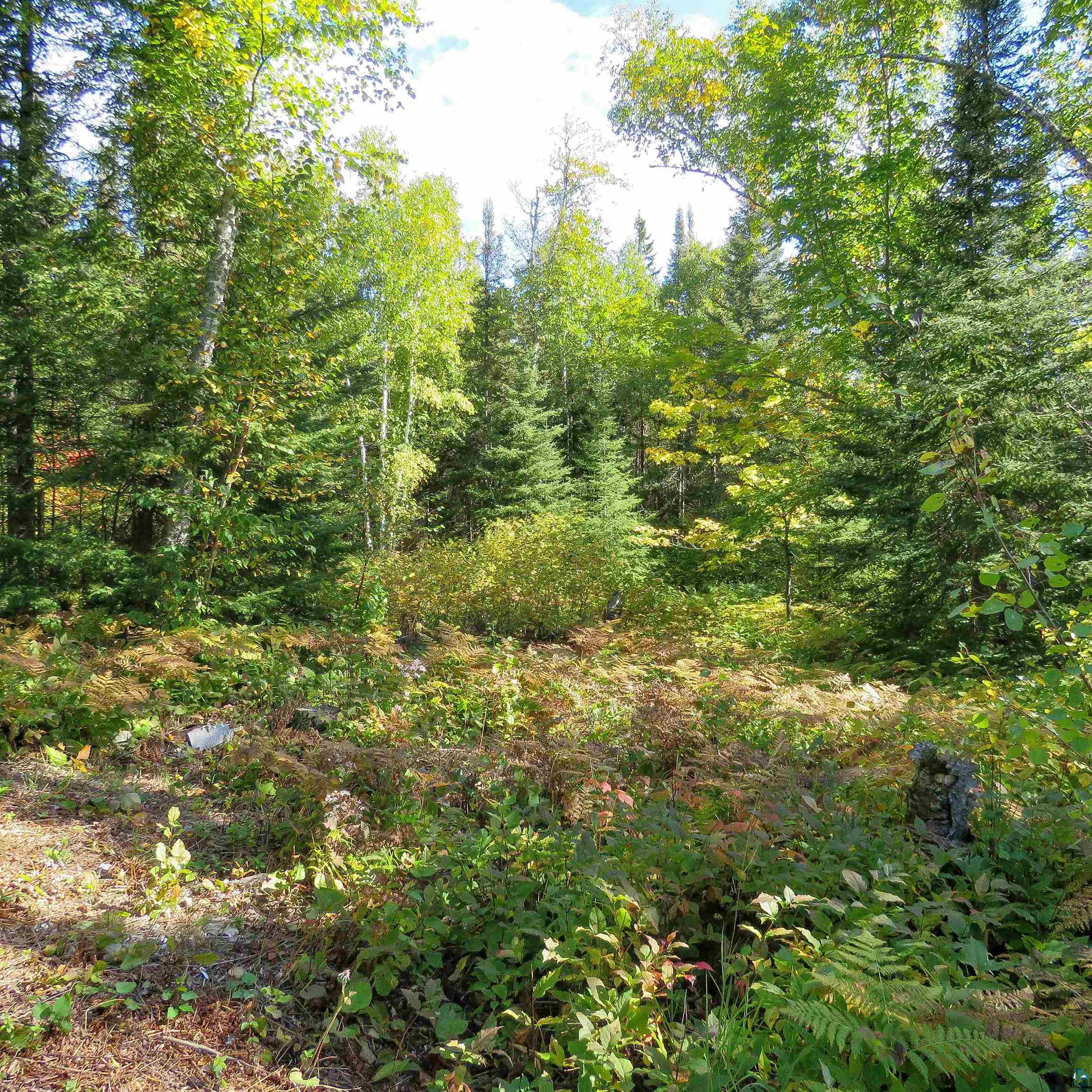 435 Cramer Road Schroeder, MN 55613 - Photo 22 of 59 Gallery Image 22