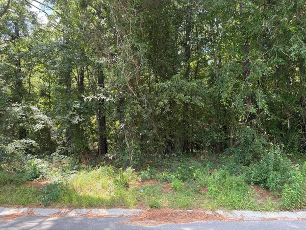 $66,900 | 308 East Poplar Branch Drive, Moncks Corner, SC 29461