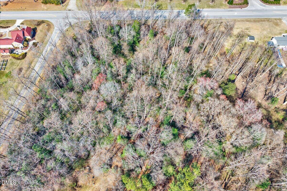 15973 Highway 210 Angier, NC 27501 - Photo 2 of 12 a view of a yard with plants