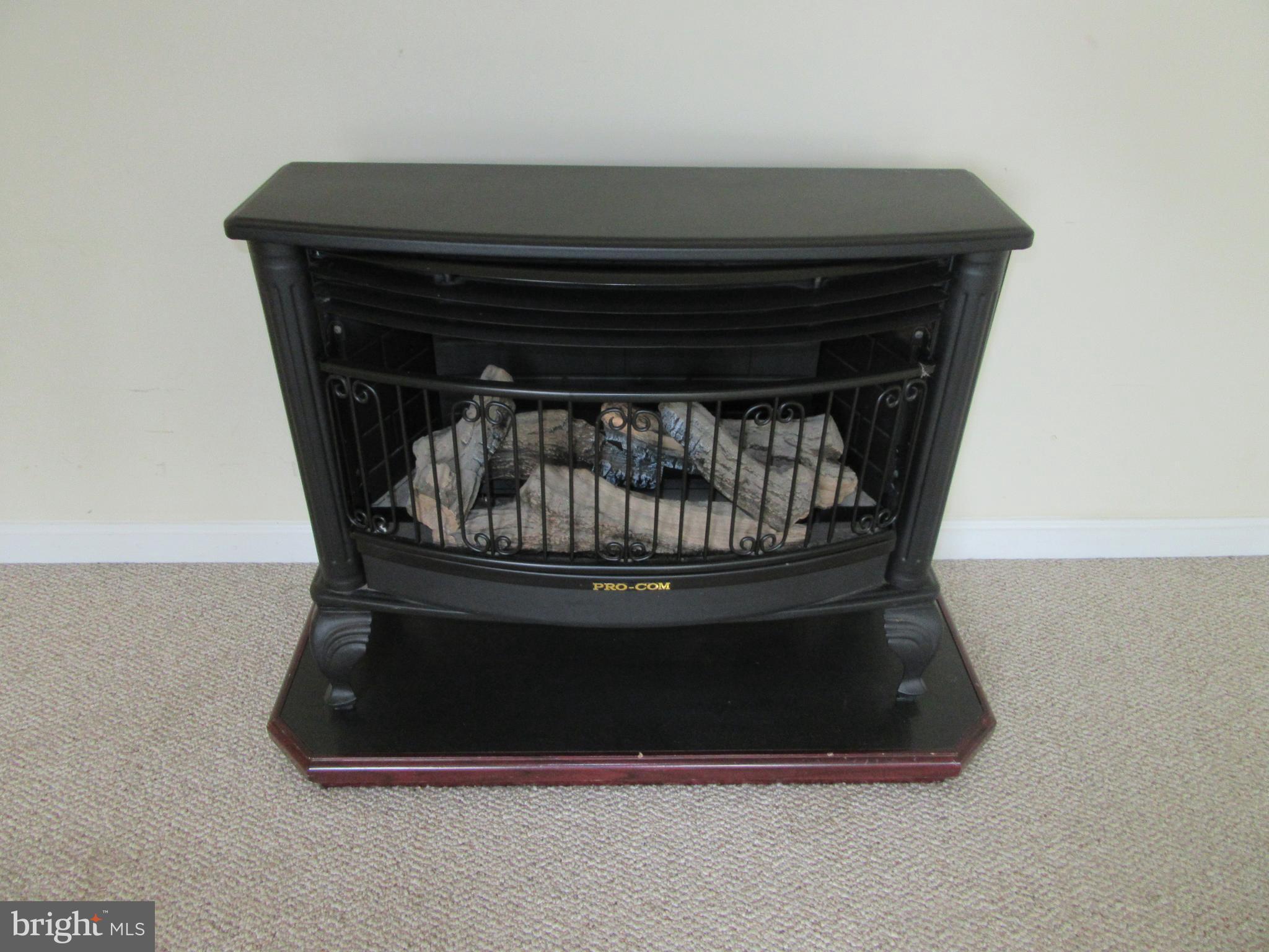 1010 Gun Club Road Stephenson, VA 22656 - Photo 17 of 28 Family Room