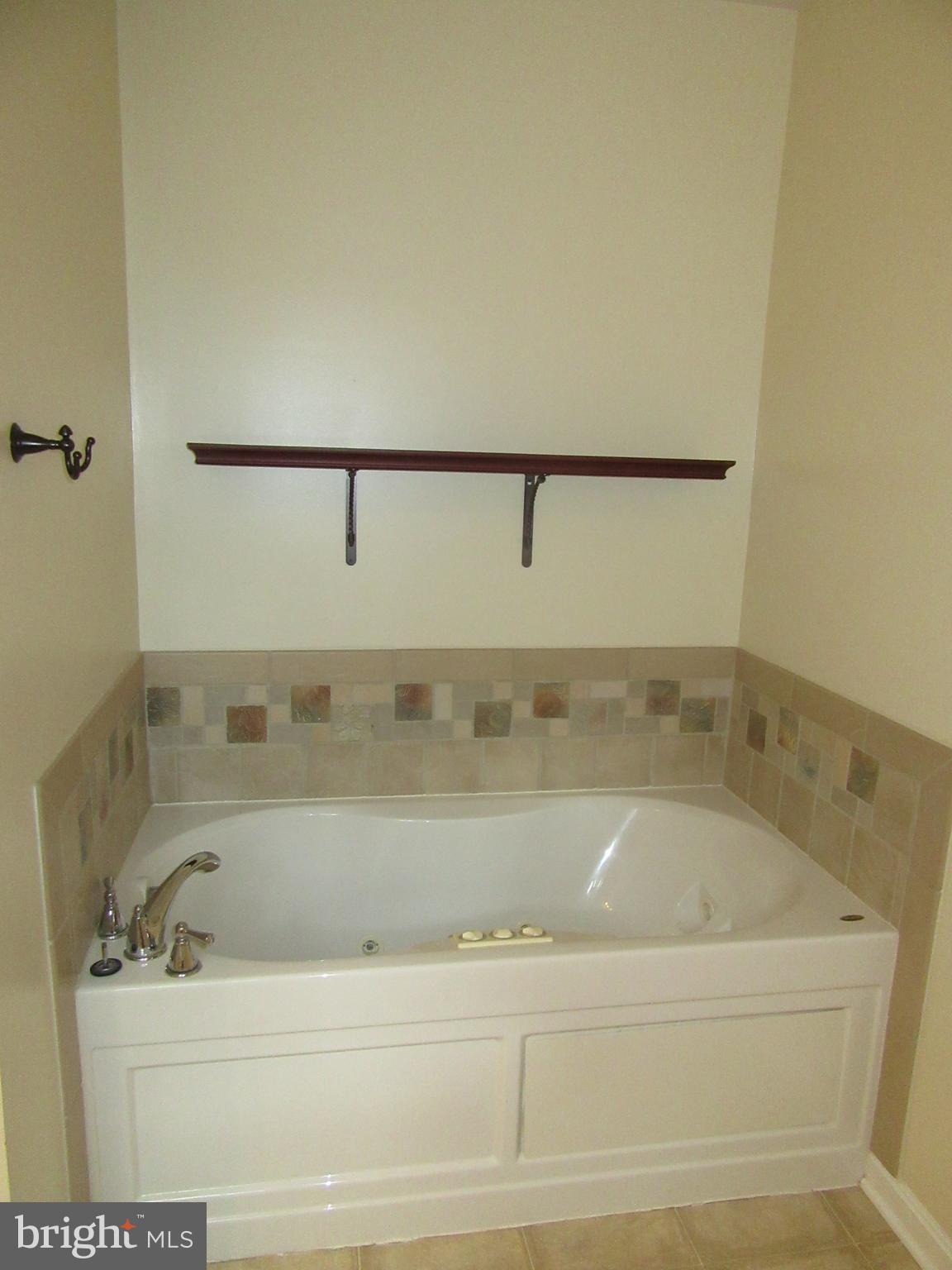1010 Gun Club Road Stephenson, VA 22656 - Photo 23 of 28 Bath (Master)