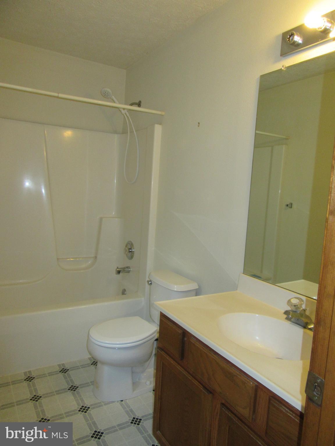 1010 Gun Club Road Stephenson, VA 22656 - Photo 25 of 28 2nd Bath (Master)