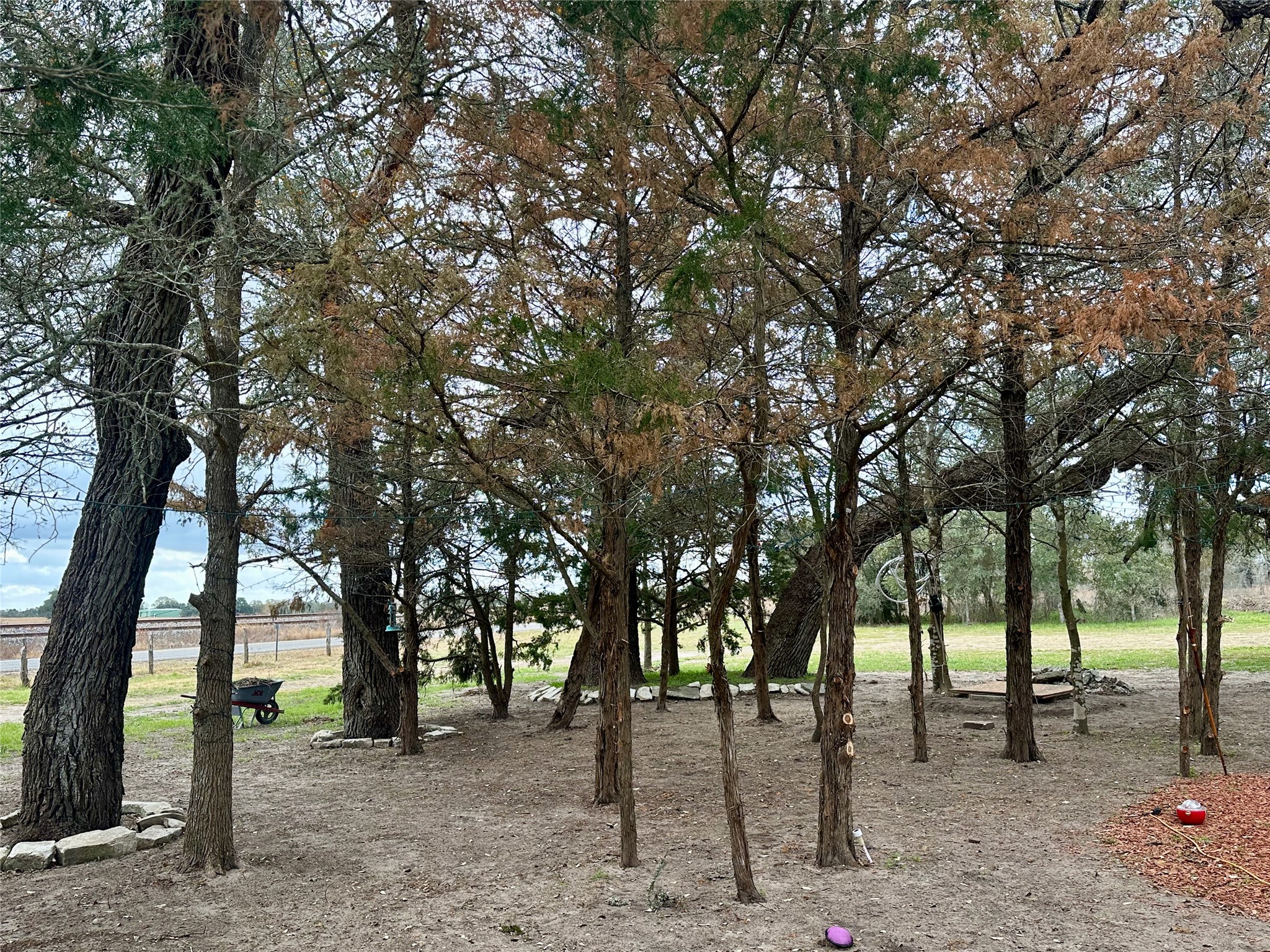 705 Fm 154 Street South Muldoon, TX 78949 - Photo 17 of 18 View of yard