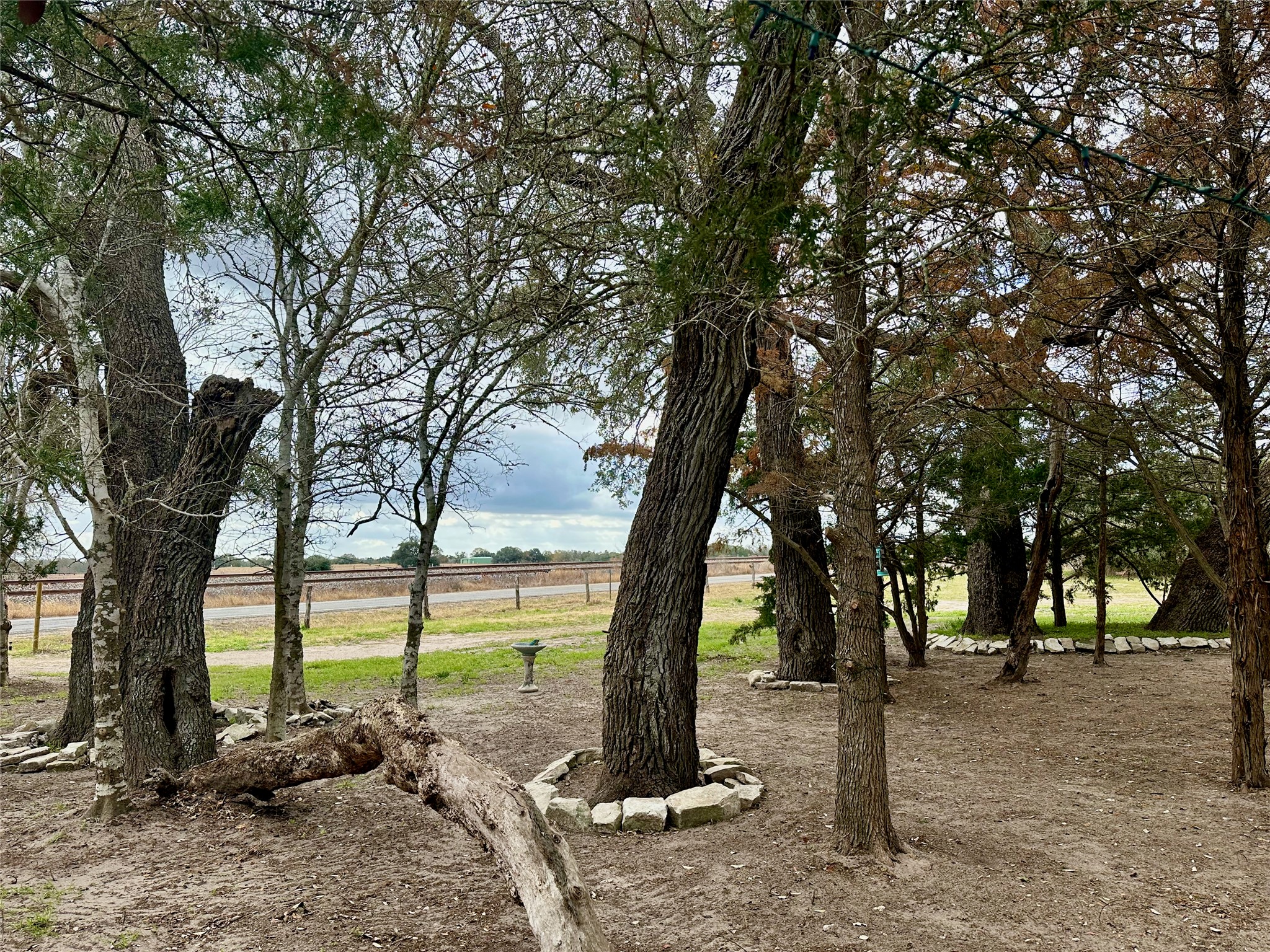 705 Fm 154 Street South Muldoon, TX 78949 - Photo 18 of 18 View of yard