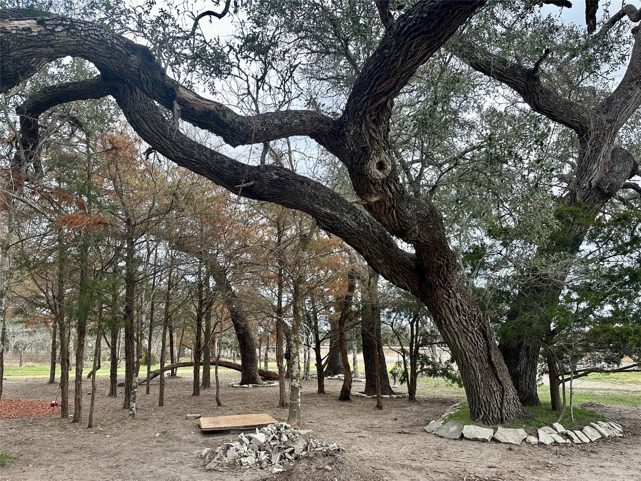 705 Fm 154 Street South Muldoon, TX 78949 - Photo 3 of 18