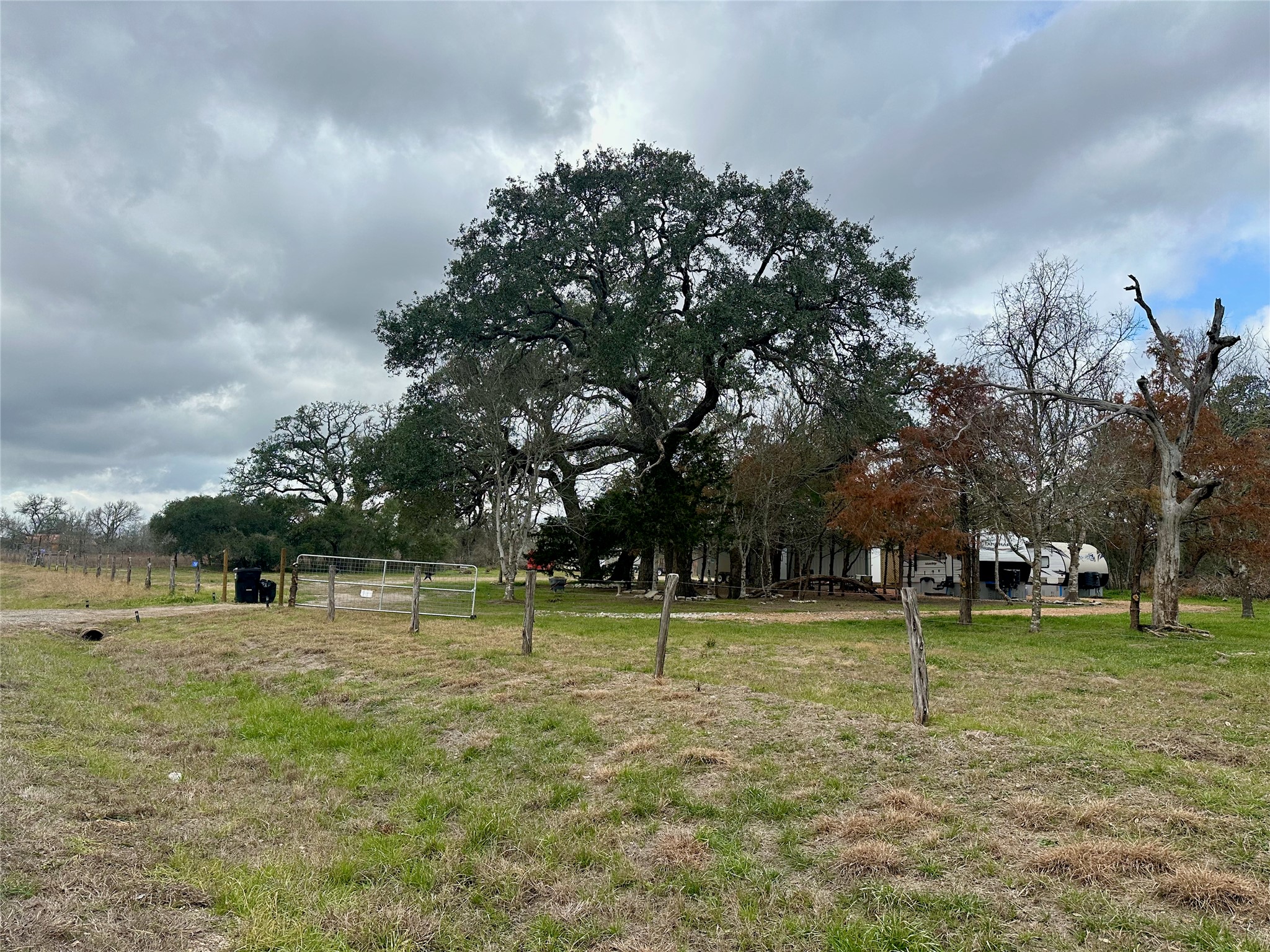 705 Fm 154 Street South Muldoon, TX 78949 - Photo 5 of 18 View of green lawn