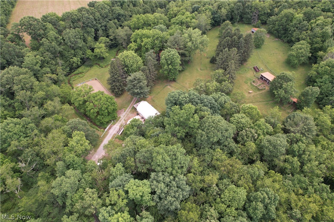 11811 Gaston Road Rogers, OH 44455 - Photo 6 of 38 WELCOME TO PARADISE! 11811 Gaston Rd. Negley/Rogers, OHIO sits on nearly 28 acres of land, with a functional and featured cabin to relax in! Not to mention the Q-Hut that's over 1,000 square feet and has electric, the horse arena is 50x80 and there's plenty of usable space that could be built out for your needs. Schedule your appointment today!