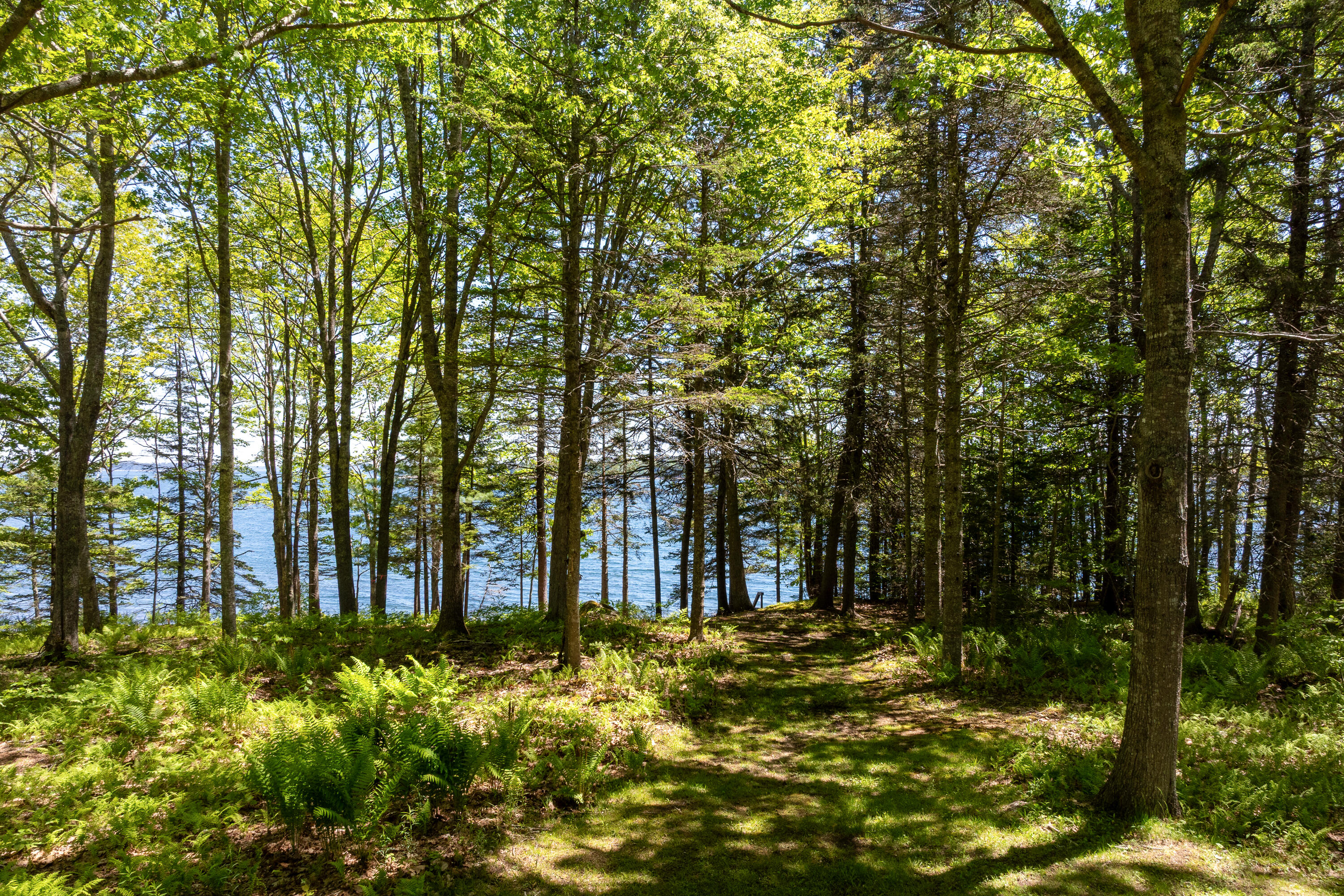 153 Back Shore Road Bristol, ME 04564 - Photo 86 of 103
