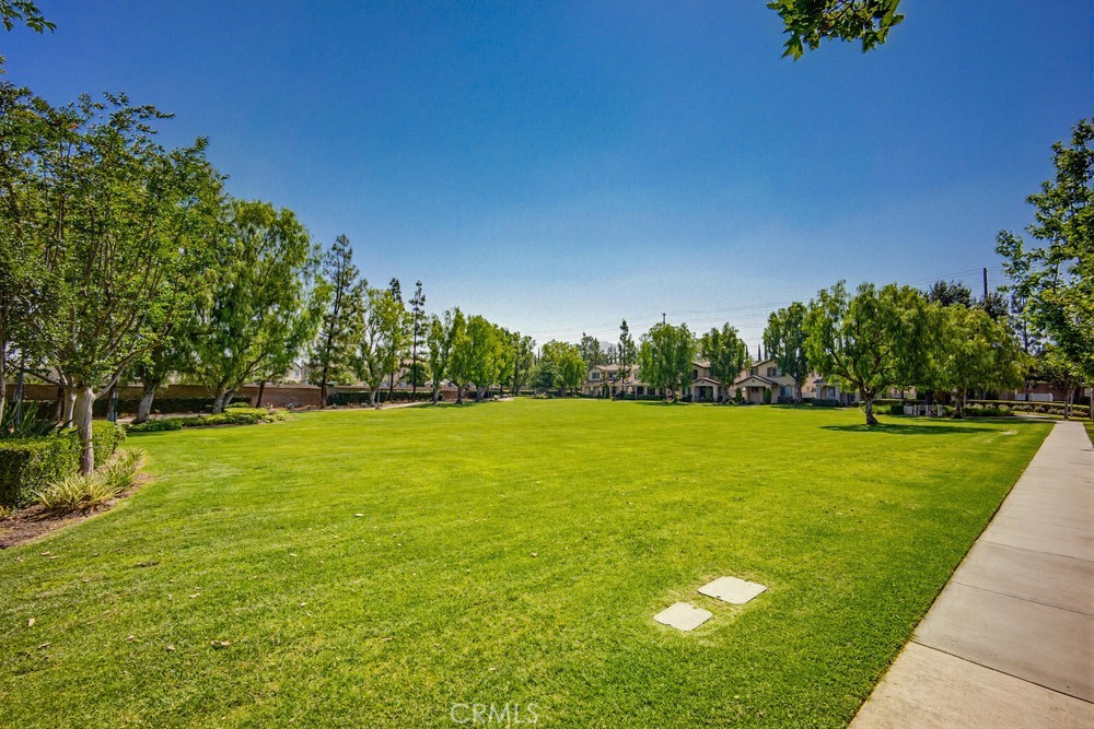 1747 Palermo Drive Riverside, CA 92507 - Photo 26 of 30 a view of a green yard