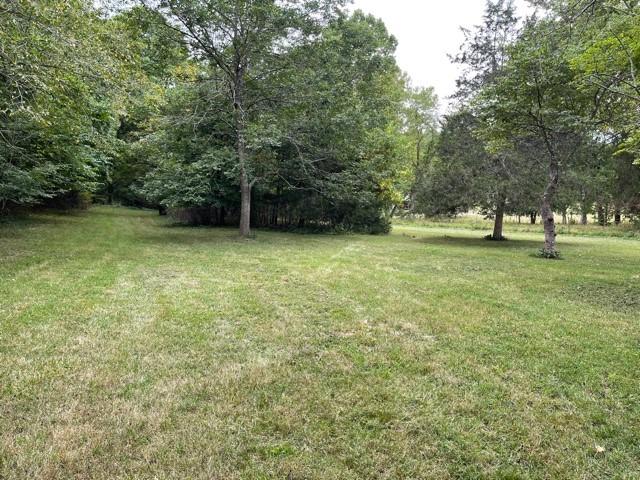 0 Pleasant View Road Highlandville, MO 65669 - Photo 1 of 1 bottom level