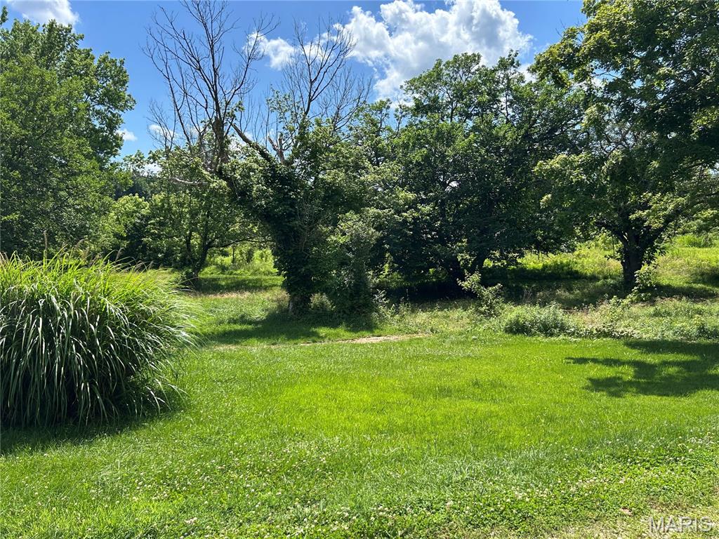 255 Kimber Road Dongola, IL 62926 - Photo 14 of 29